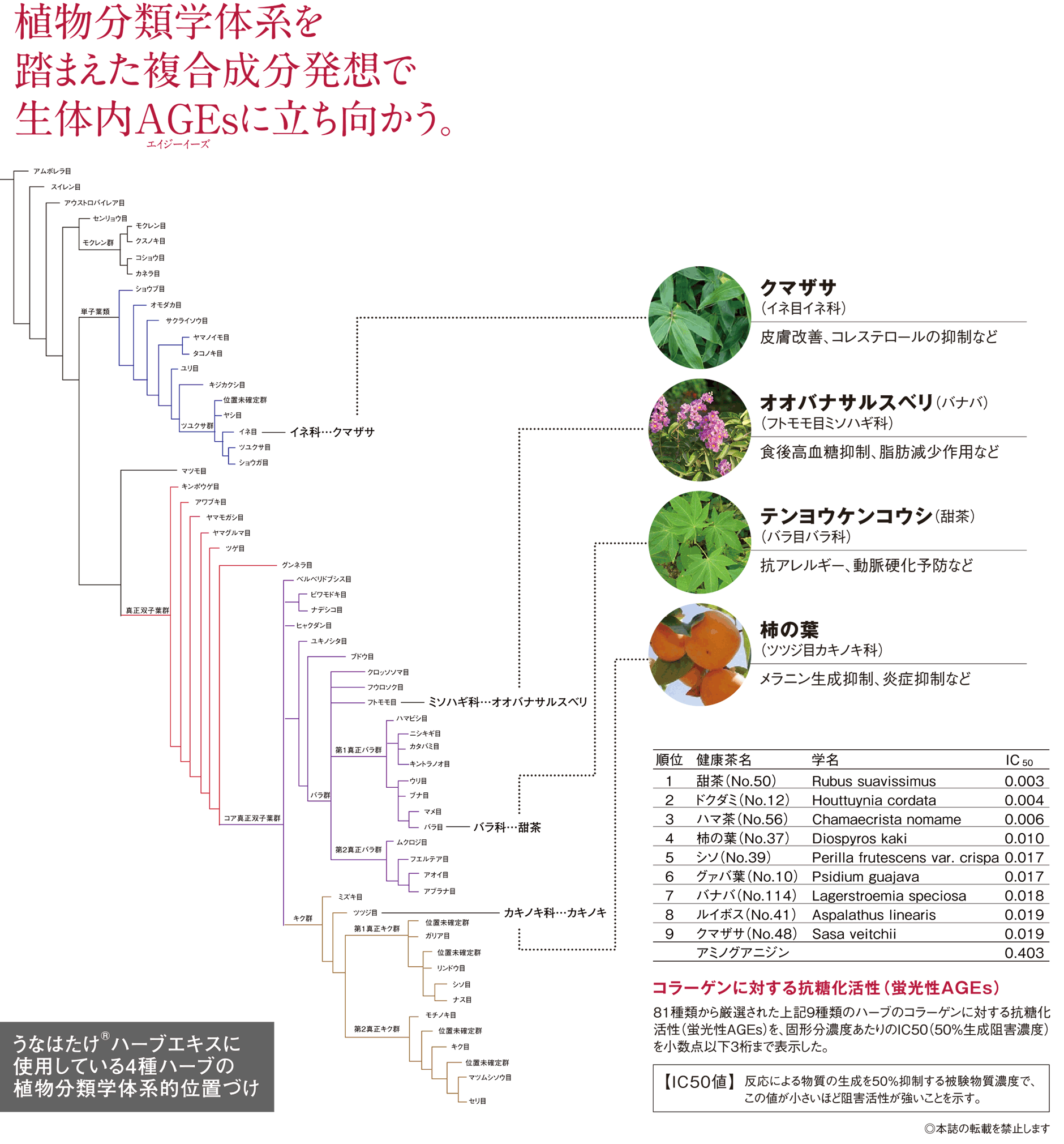 クラージュ共同研究先