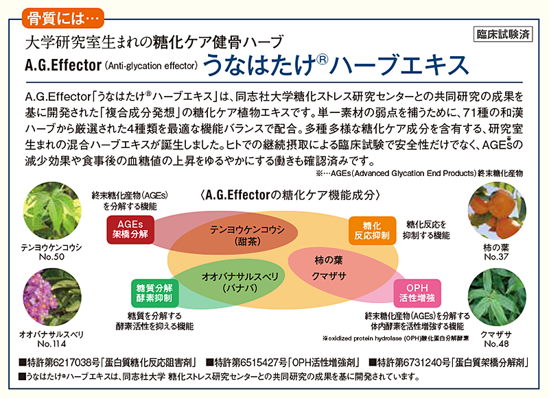 クラージュ共同研究先