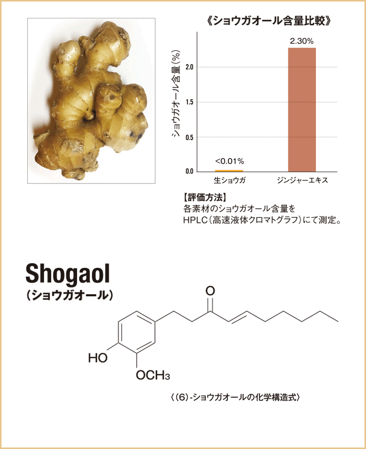 コグニプラス商品