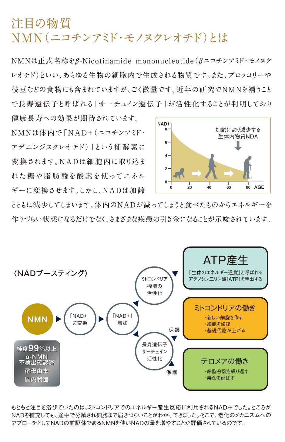 クラージュ共同研究先